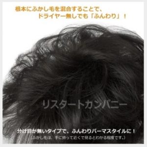 元研修講師が教える 部分ウィッグ トップピース の疑問と不安は読んで解決 頭頂部も見比べよう Wigの教科書 自然は美しい 元研修講師が教える 部分ウィッグ トップピース の疑問と不安は読んで解決 頭頂部も見比べよう Wigの教科書 自然は美しい
