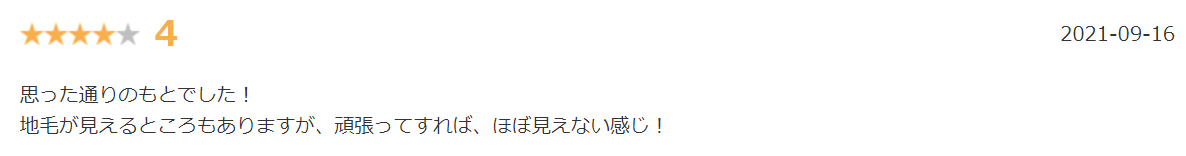 カラーウィッグ楽天レビュー③